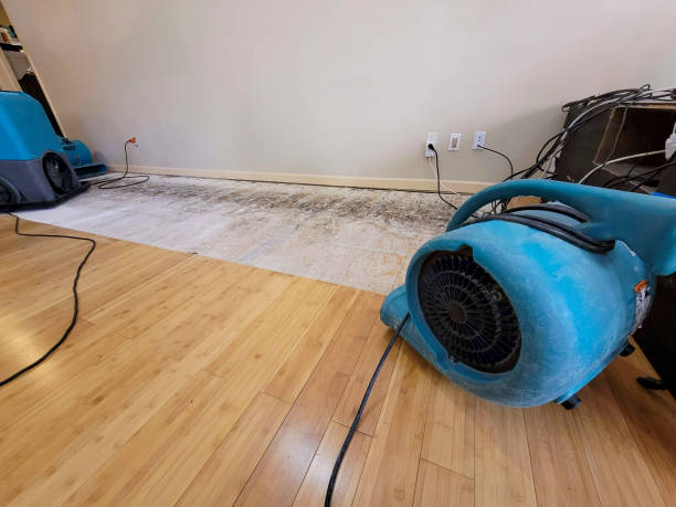 Professional Sewage Cleanup technician working in Rockville, MN